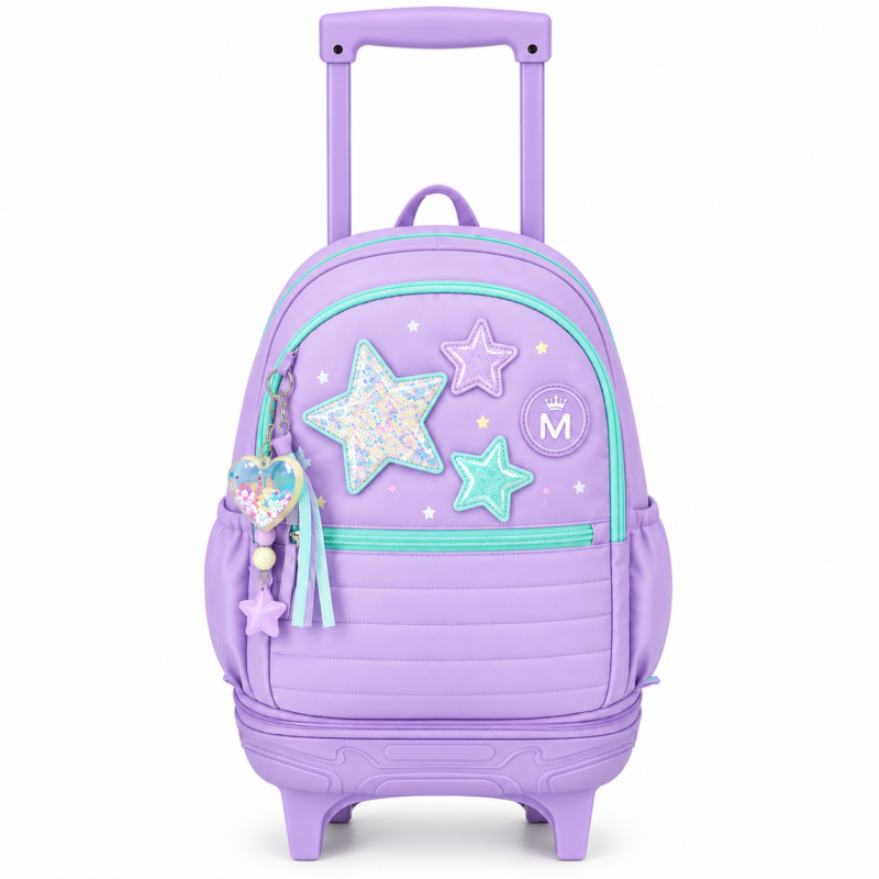 school trolley bag (1)